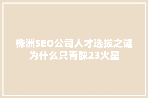株洲SEO公司人才选拔之谜为什么只青睐23火星