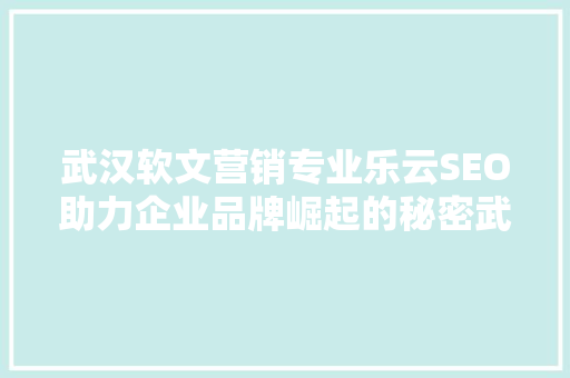 武汉软文营销专业乐云SEO助力企业品牌崛起的秘密武器