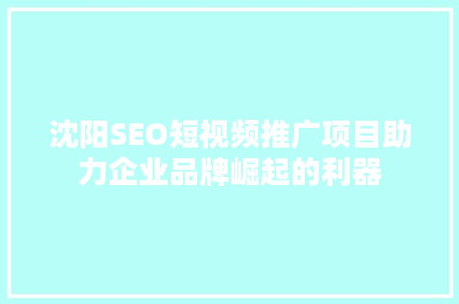 沈阳SEO短视频推广项目助力企业品牌崛起的利器