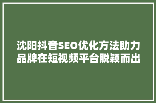 沈阳抖音SEO优化方法助力品牌在短视频平台脱颖而出  第1张