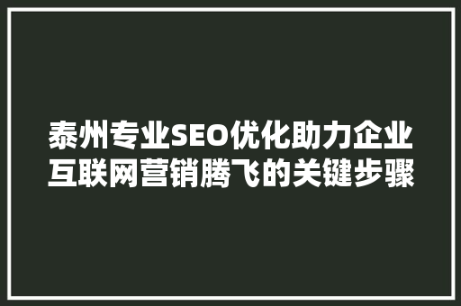 泰州专业SEO优化助力企业互联网营销腾飞的关键步骤  第1张