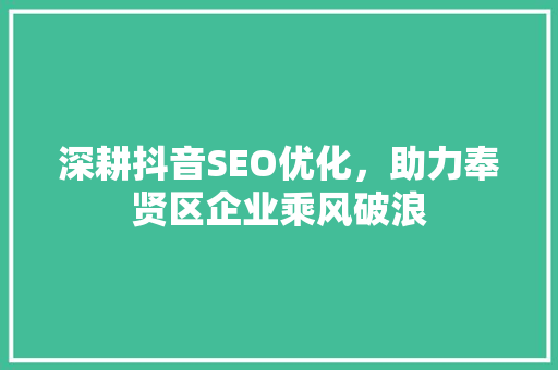 深耕抖音SEO优化，助力奉贤区企业乘风破浪