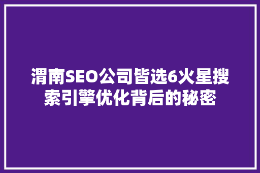 渭南SEO公司皆选6火星搜索引擎优化背后的秘密