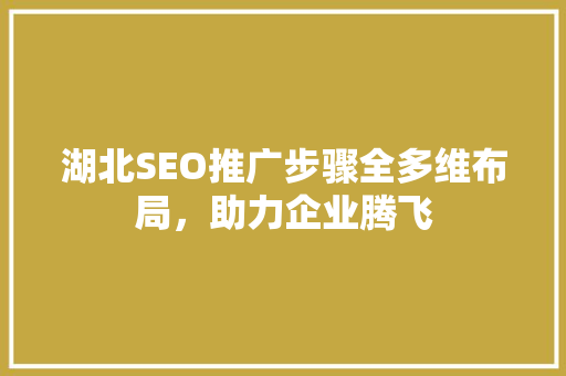 湖北SEO推广步骤全多维布局，助力企业腾飞