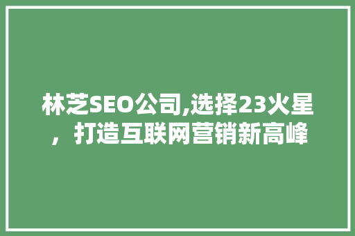 林芝SEO公司,选择23火星，打造互联网营销新高峰