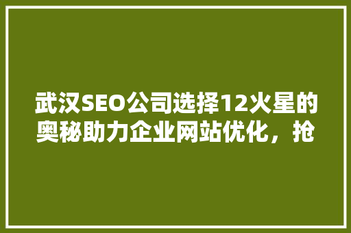 武汉SEO公司选择12火星的奥秘助力企业网站优化，抢占网络市场先机