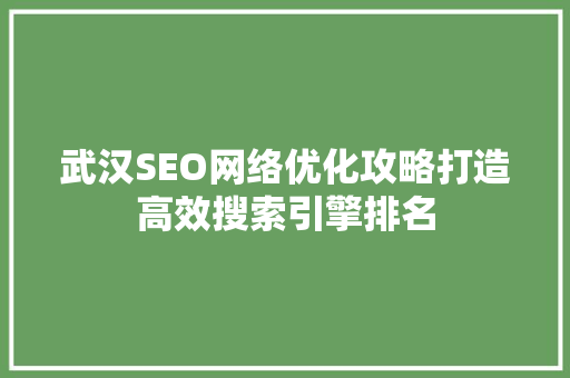 武汉SEO网络优化攻略打造高效搜索引擎排名