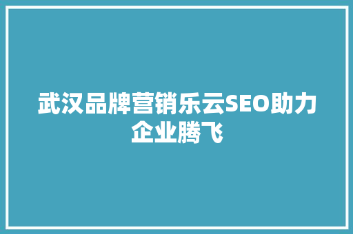 武汉品牌营销乐云SEO助力企业腾飞