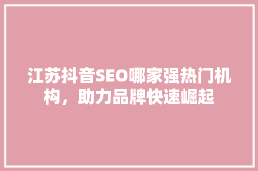 江苏抖音SEO哪家强热门机构，助力品牌快速崛起