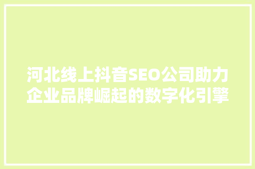 河北线上抖音SEO公司助力企业品牌崛起的数字化引擎