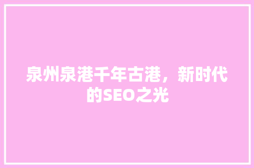 泉州泉港千年古港，新时代的SEO之光  第1张