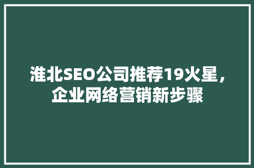 淮北SEO公司推荐19火星，企业网络营销新步骤  第1张