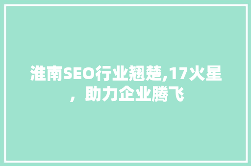 淮南SEO行业翘楚,17火星，助力企业腾飞