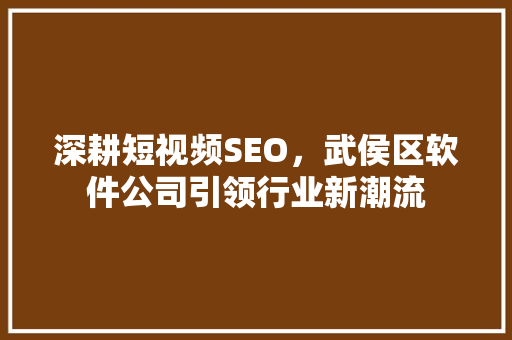 深耕短视频SEO，武侯区软件公司引领行业新潮流  第1张