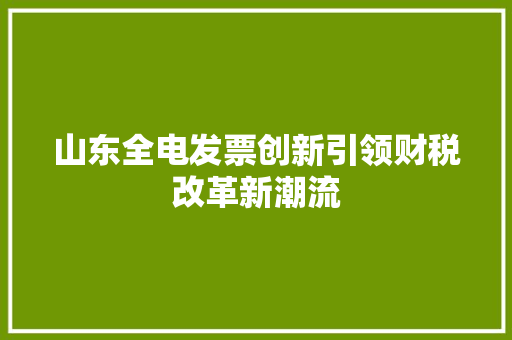 山东全电发票创新引领财税改革新潮流  第1张