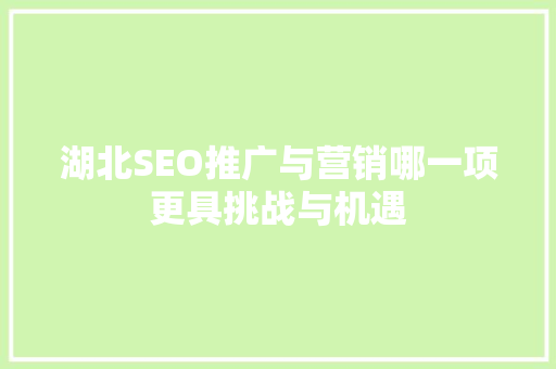 湖北SEO推广与营销哪一项更具挑战与机遇