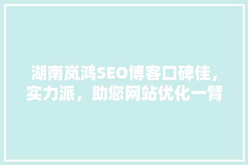 湖南岚鸿SEO博客口碑佳，实力派，助您网站优化一臂之力
