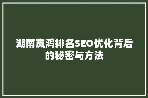湖南岚鸿排名SEO优化背后的秘密与方法