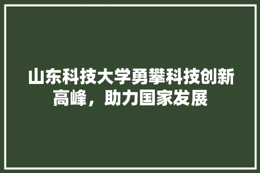 山东科技大学勇攀科技创新高峰，助力国家发展