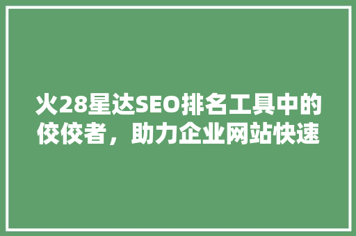 火28星达SEO排名工具中的佼佼者，助力企业网站快速崛起