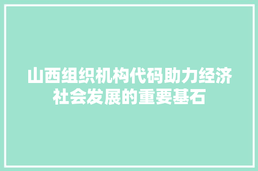 山西组织机构代码助力经济社会发展的重要基石