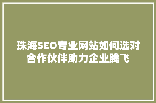 珠海SEO专业网站如何选对合作伙伴助力企业腾飞  第1张