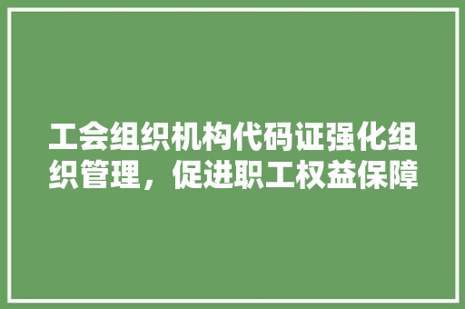 工会组织机构代码证强化组织管理，促进职工权益保障