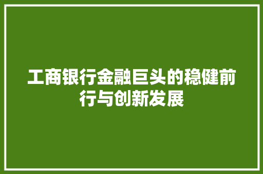 工商银行金融巨头的稳健前行与创新发展