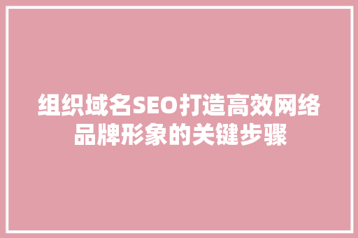 组织域名SEO打造高效网络品牌形象的关键步骤  第1张