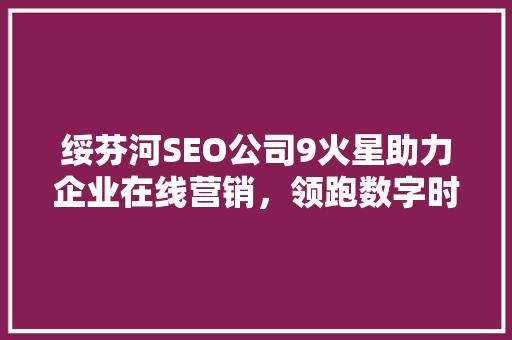 绥芬河SEO公司9火星助力企业在线营销，领跑数字时代