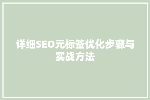 详细SEO元标签优化步骤与实战方法