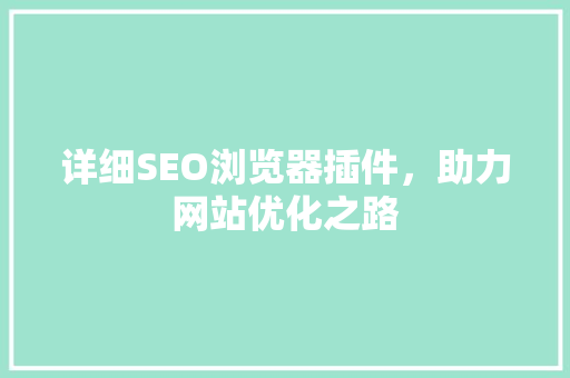 详细SEO浏览器插件，助力网站优化之路  第1张