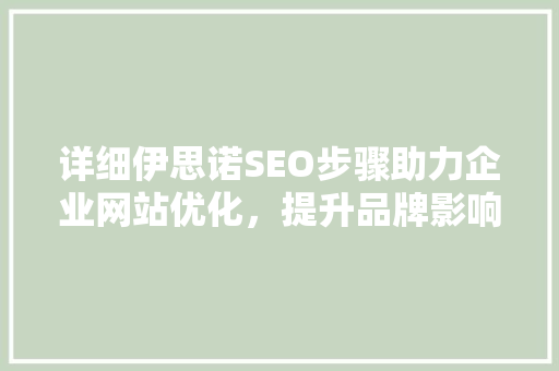 详细伊思诺SEO步骤助力企业网站优化，提升品牌影响力