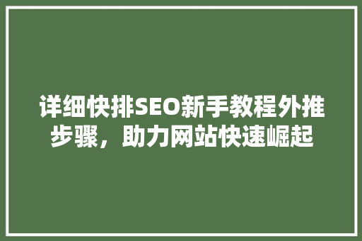 详细快排SEO新手教程外推步骤，助力网站快速崛起