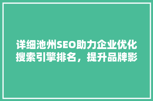 详细池州SEO助力企业优化搜索引擎排名，提升品牌影响力