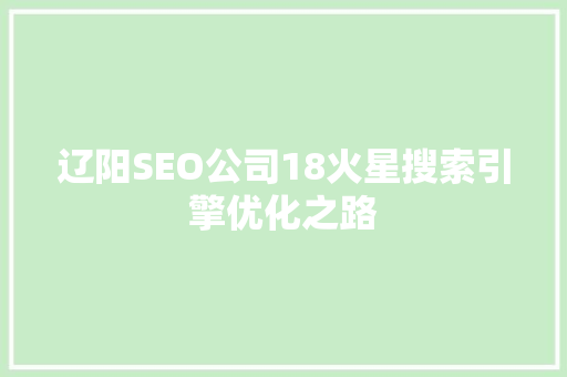 辽阳SEO公司18火星搜索引擎优化之路