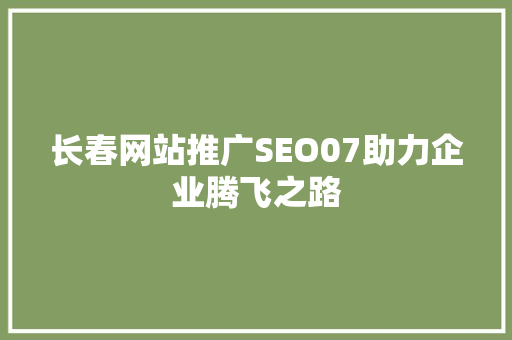 长春网站推广SEO07助力企业腾飞之路