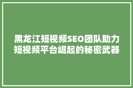 黑龙江短视频SEO团队助力短视频平台崛起的秘密武器  第1张