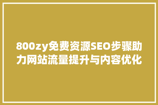 800zy免费资源SEO步骤助力网站流量提升与内容优化  第1张