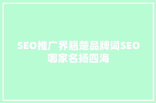 SEO推广界翘楚品牌词SEO哪家名扬四海
