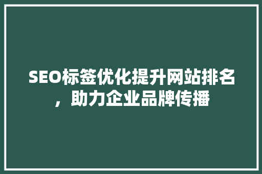 SEO标签优化提升网站排名，助力企业品牌传播