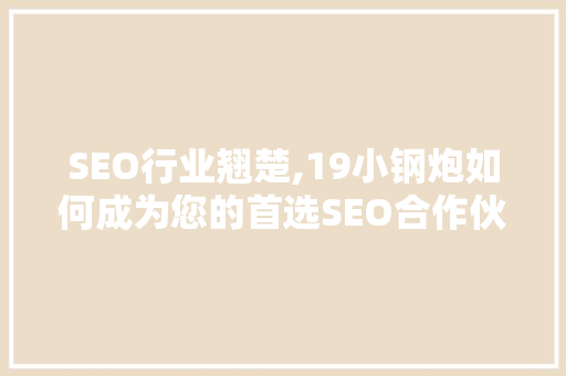 SEO行业翘楚,19小钢炮如何成为您的首选SEO合作伙伴