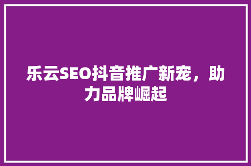 乐云SEO抖音推广新宠，助力品牌崛起
