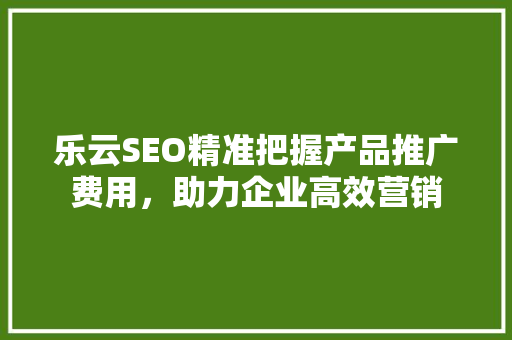 乐云SEO精准把握产品推广费用，助力企业高效营销