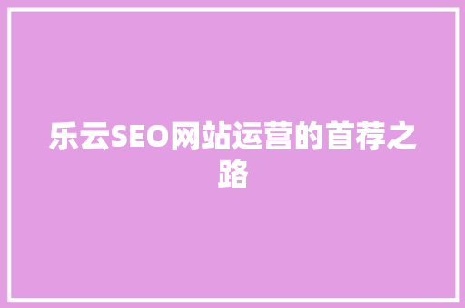 乐云SEO网站运营的首荐之路