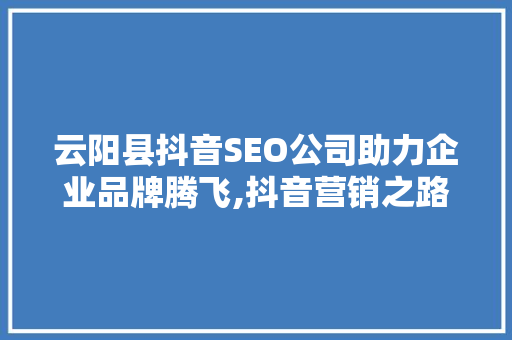云阳县抖音SEO公司助力企业品牌腾飞,抖音营销之路