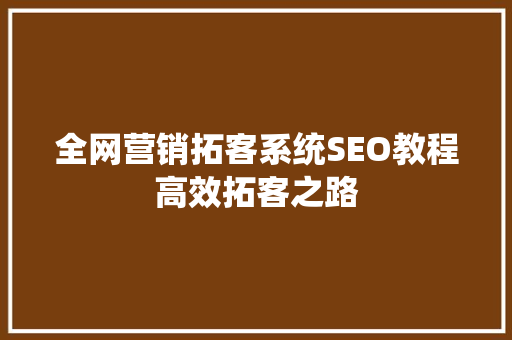 全网营销拓客系统SEO教程高效拓客之路