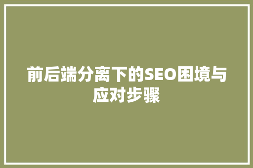 前后端分离下的SEO困境与应对步骤