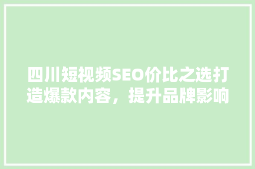 四川短视频SEO价比之选打造爆款内容，提升品牌影响力