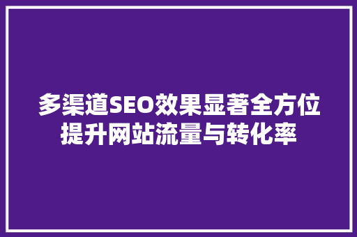 多渠道SEO效果显著全方位提升网站流量与转化率  第1张
